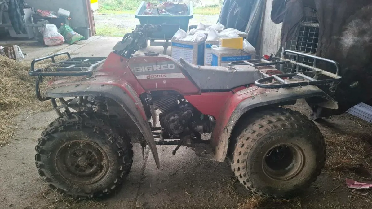 Quad
