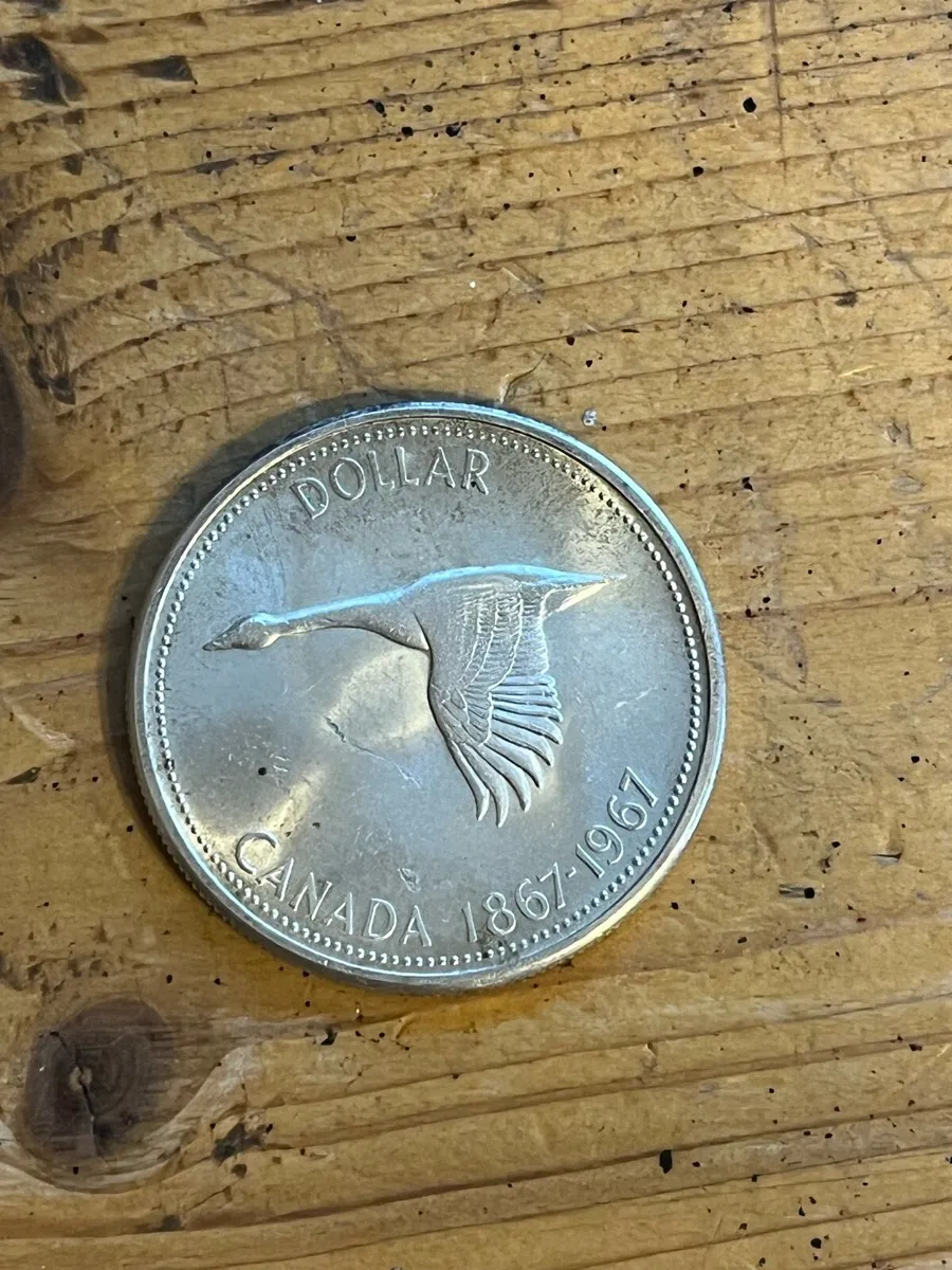 Coin - Image 1