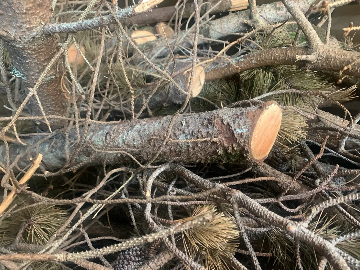 Wood for stove or open fire - Image 2