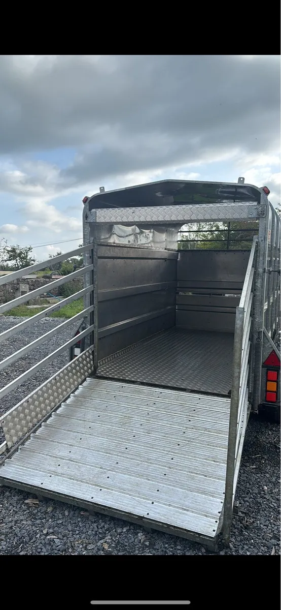 Aerlite Cattle Trailer 10x6 - Image 2