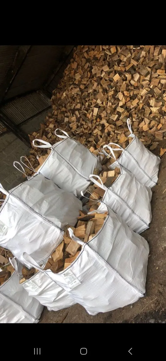 Firewood - Image 1
