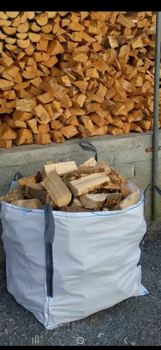 Firewood - Image 2