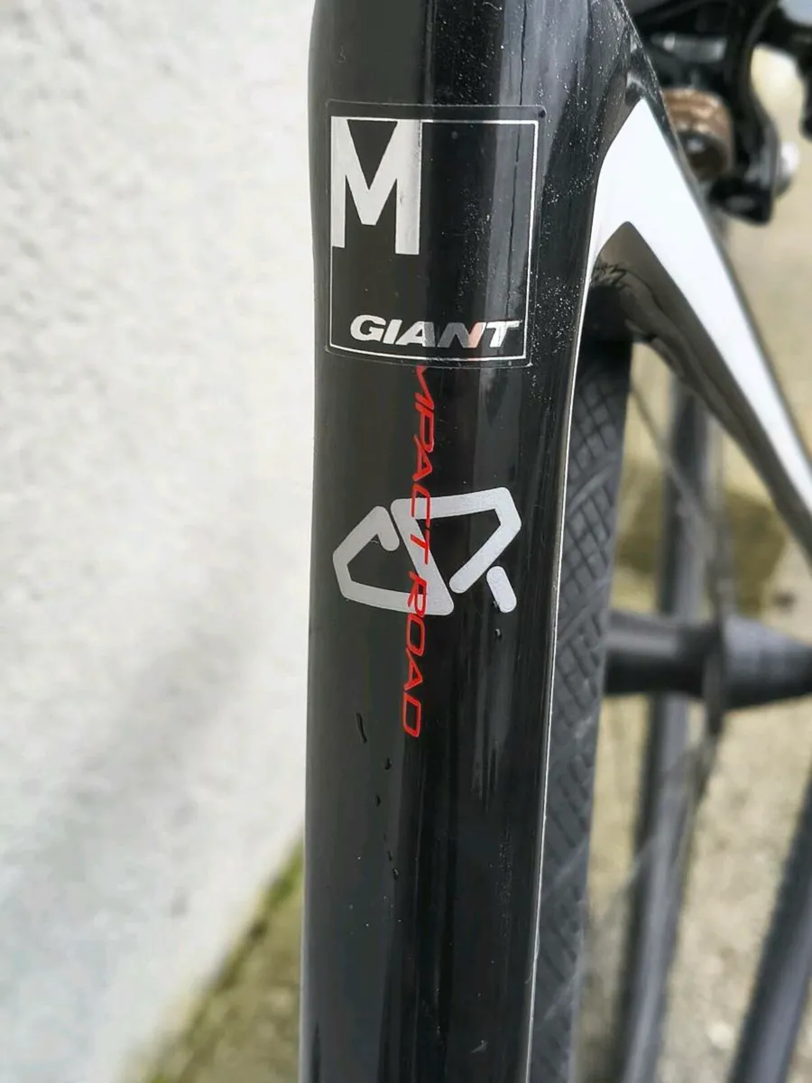 Giant defy - Image 4