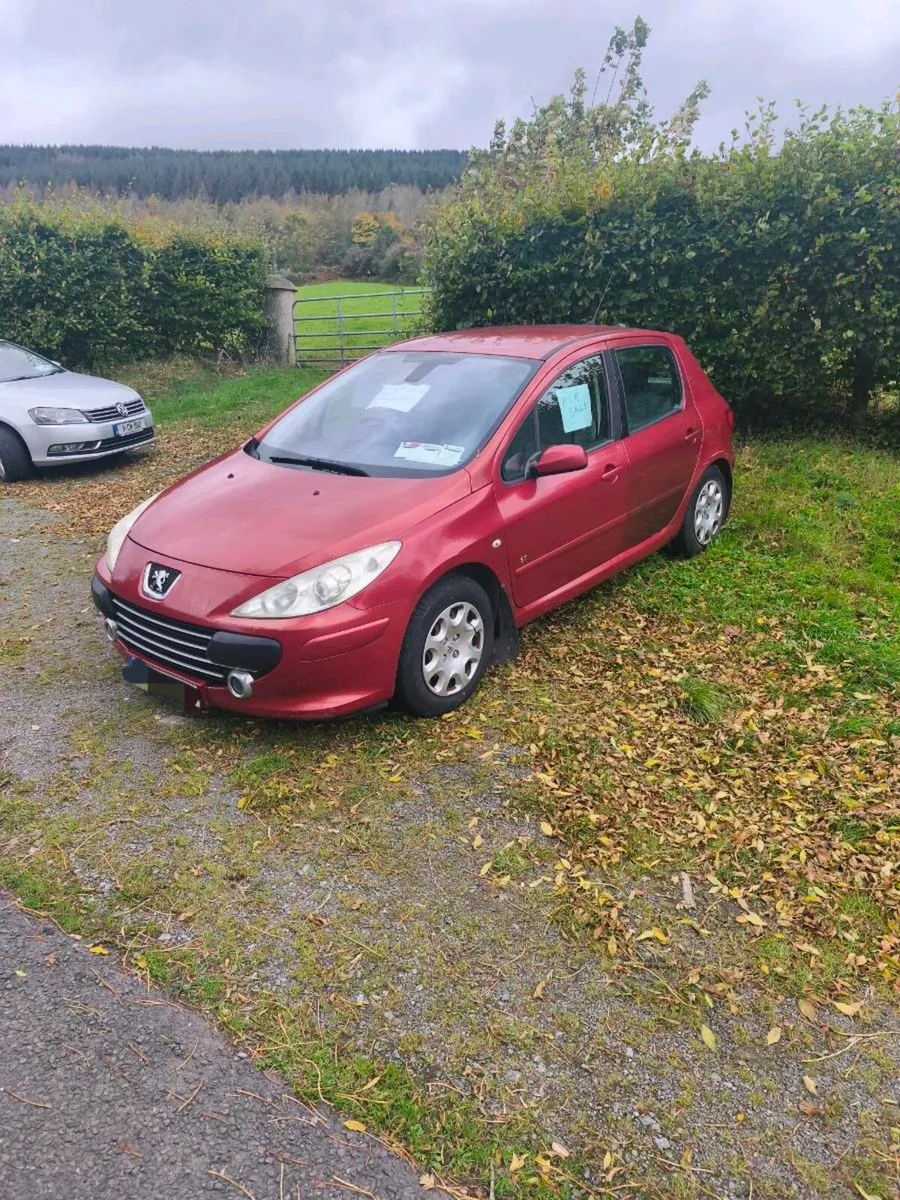 Peugeot 307 - Image 1