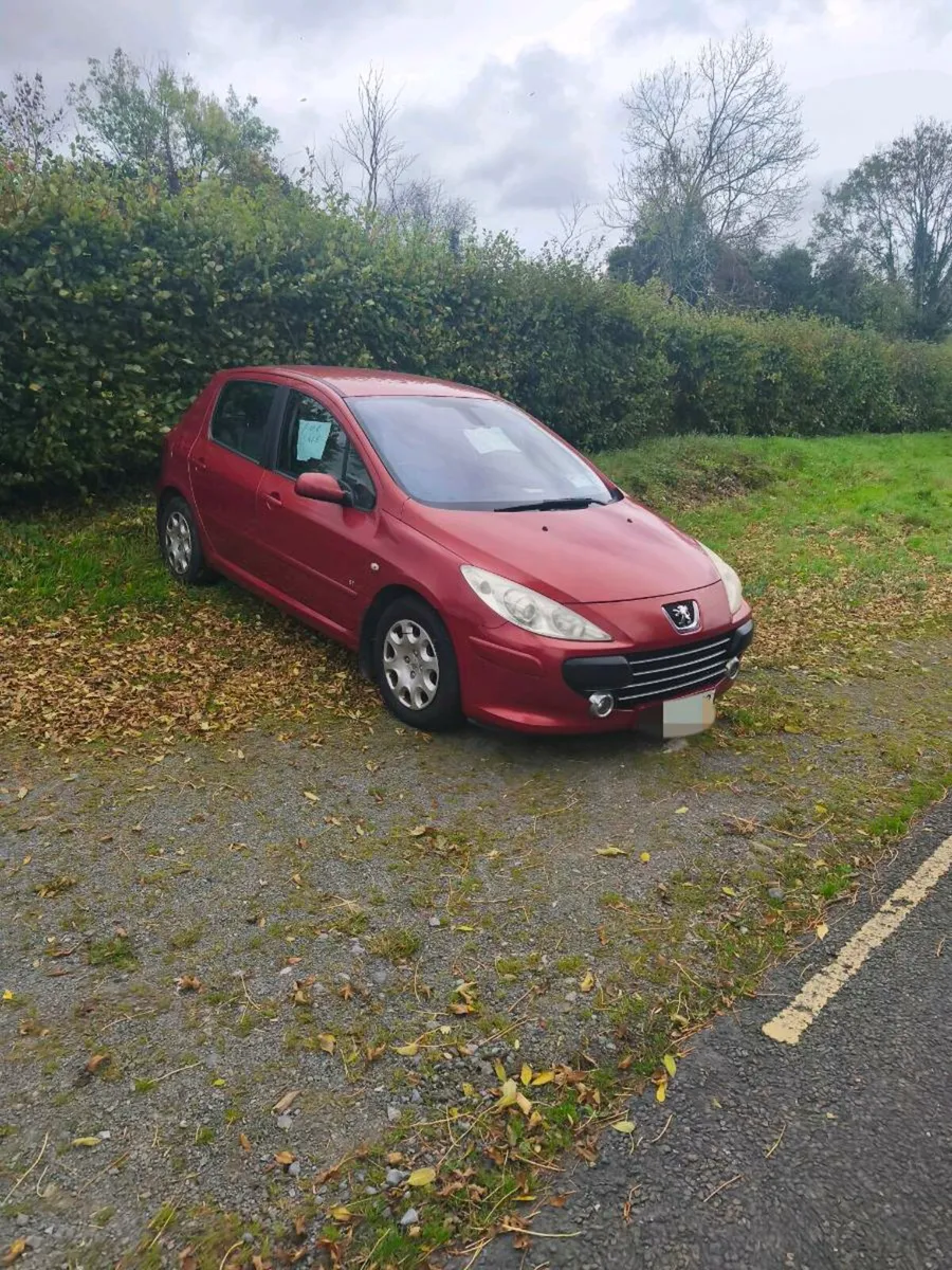 Peugeot 307 - Image 2