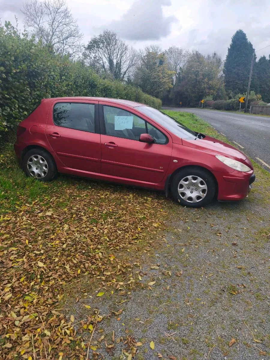 Peugeot 307 - Image 4