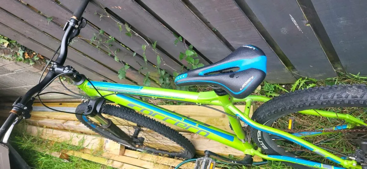 Bike - Image 1