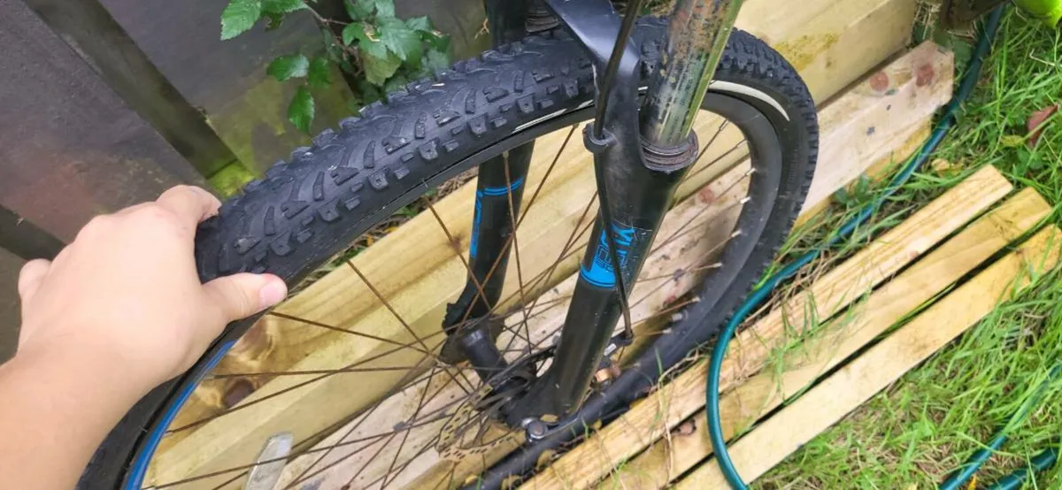 Bike - Image 3