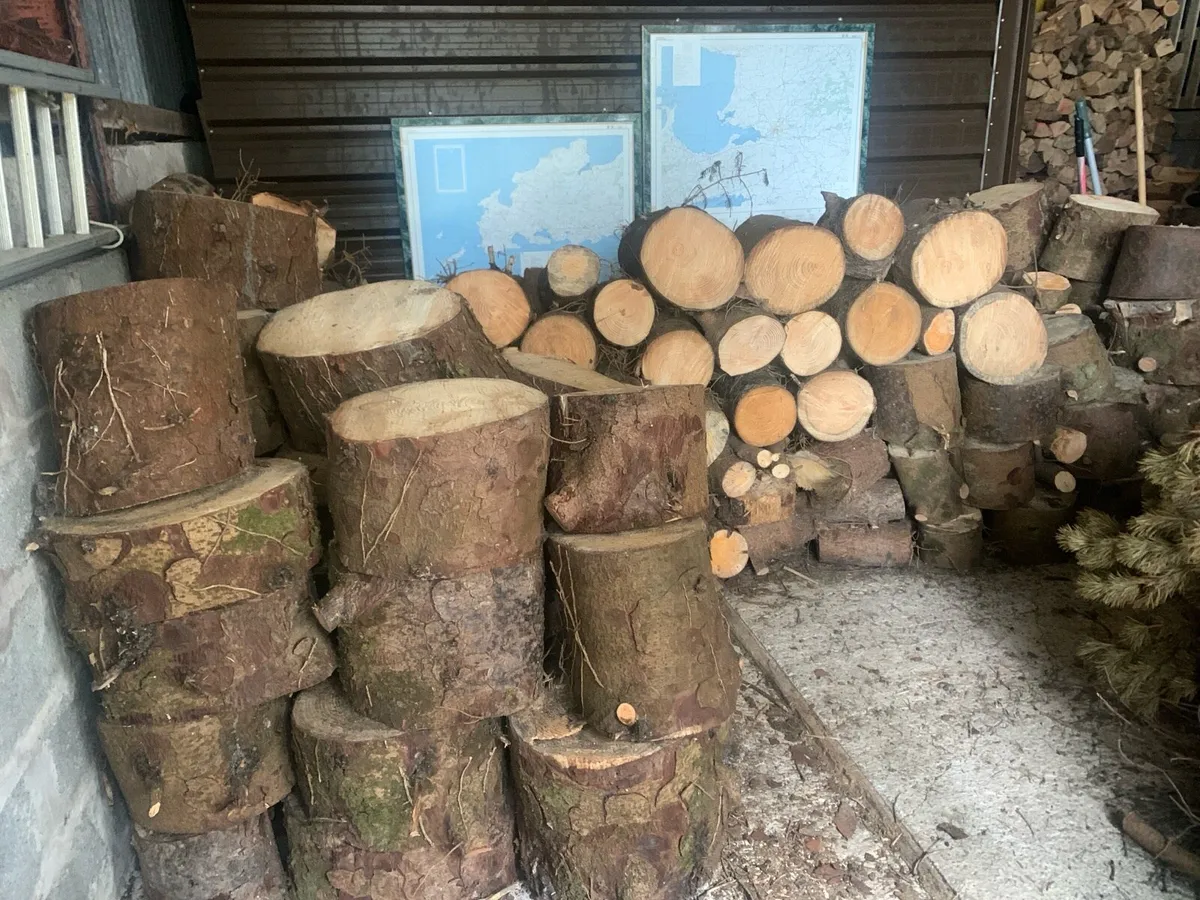Selection firewood suitable for stoves & open fire - Image 3
