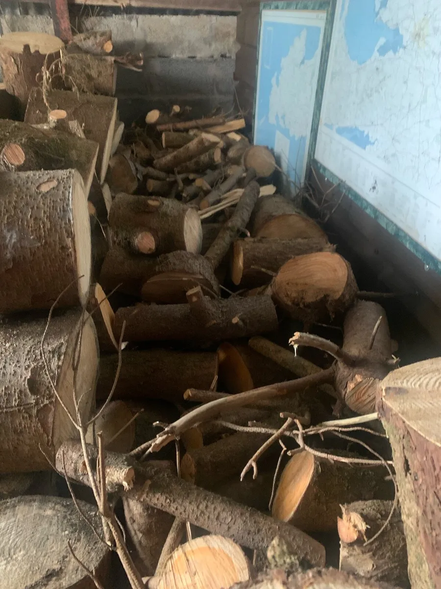 Selection firewood suitable for stoves & open fire - Image 4