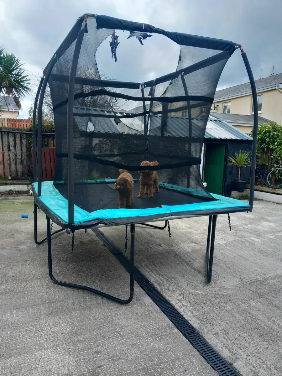 Trampoline - Image 1