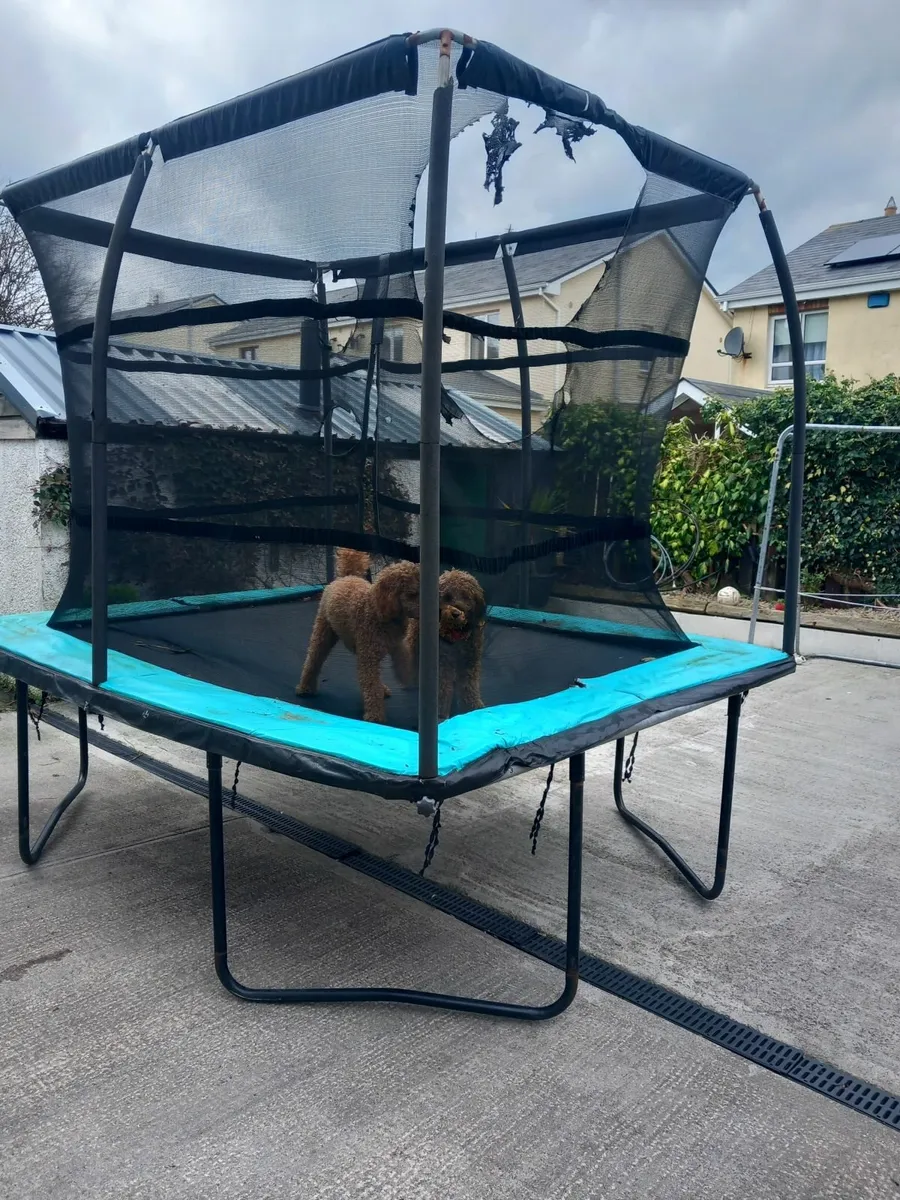 Trampoline - Image 2