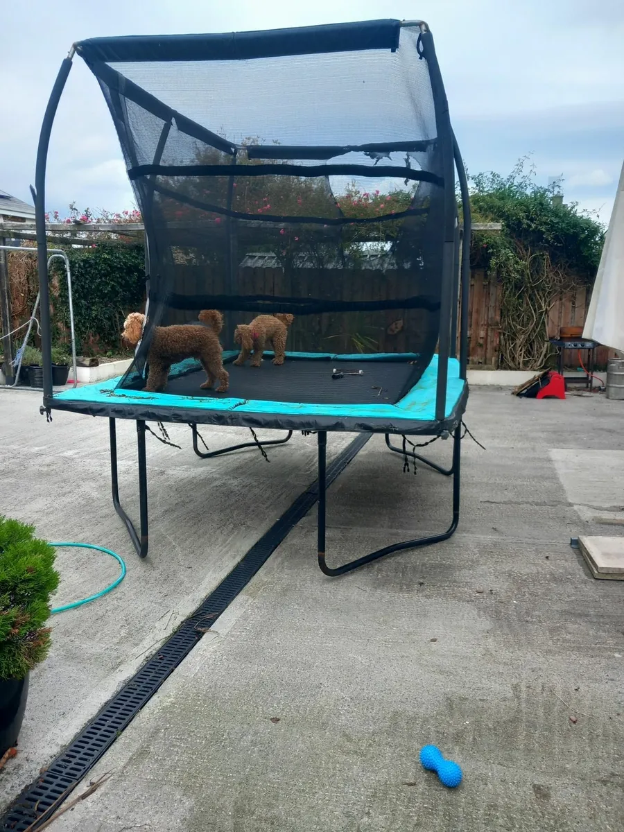 Trampoline - Image 3