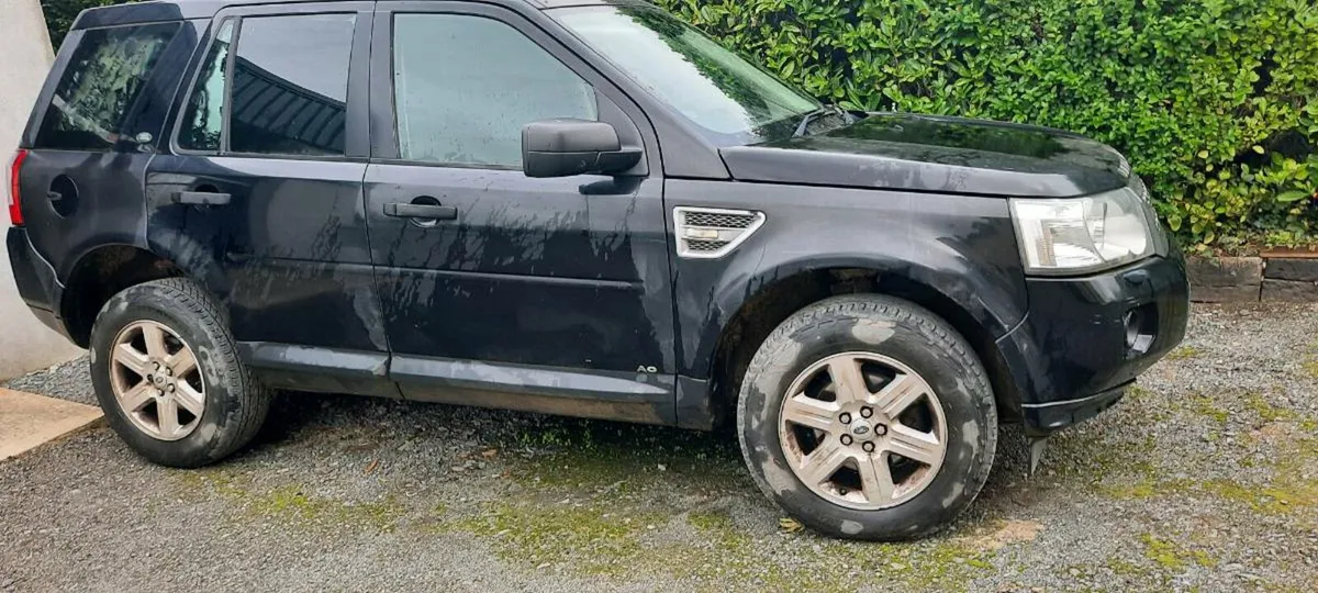 Freelander 2 - Image 2
