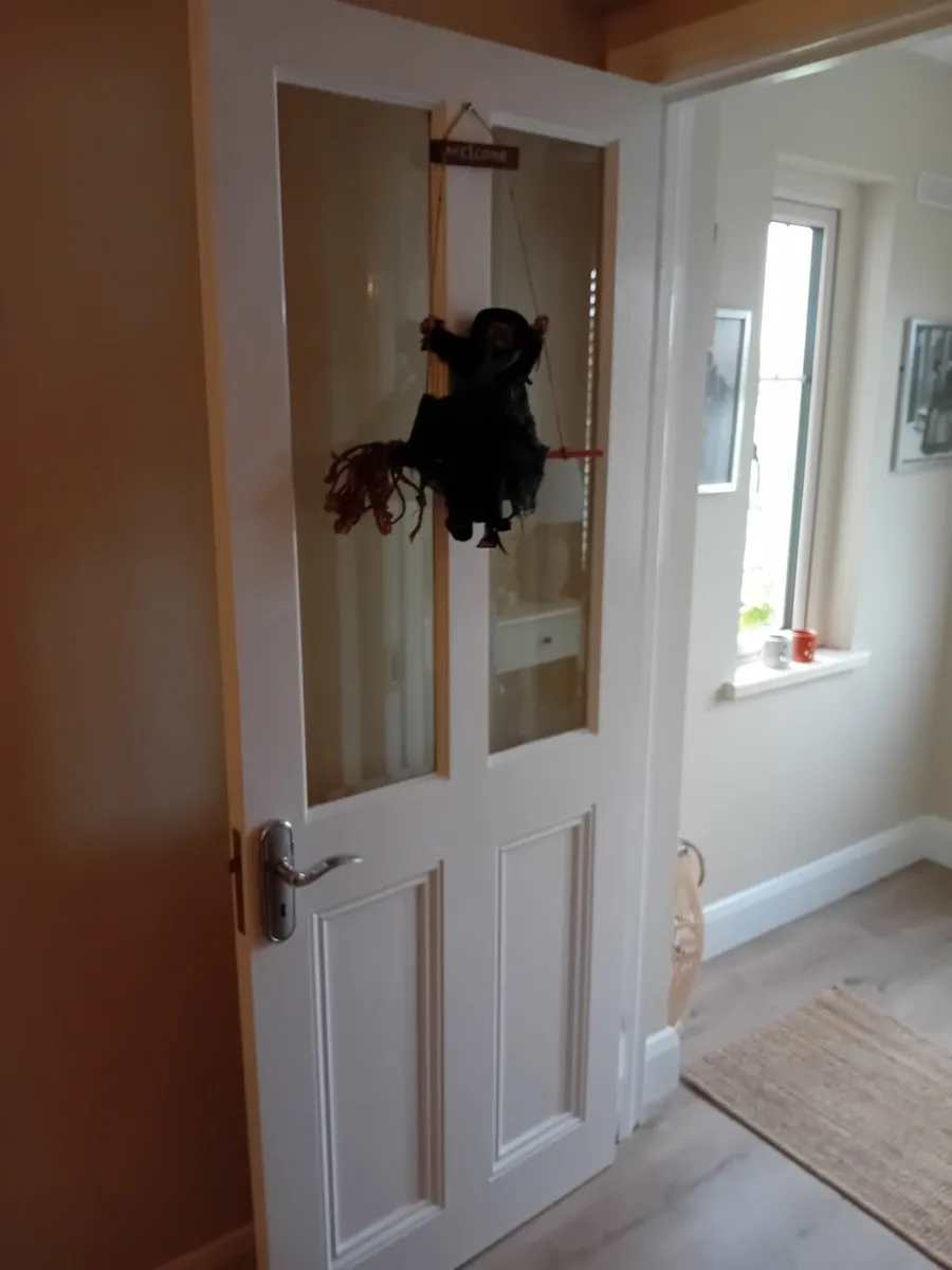 32 inch Internal door - Image 1