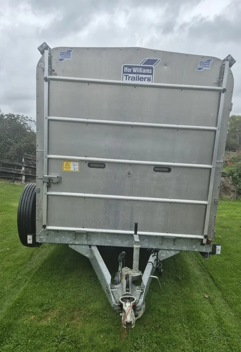 Ifor Williams 12 x 6  cattle trailer as new - Image 2