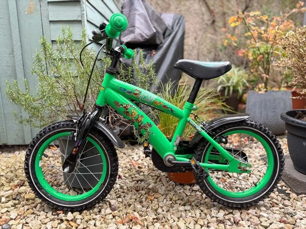14 inch Kids Bike Teenage Mutant Ninja Turtles - Image 1
