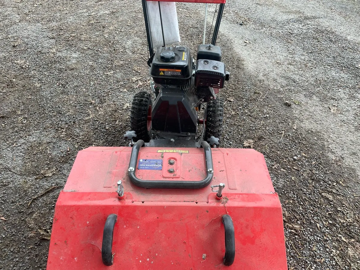Garden sweeper - Image 4
