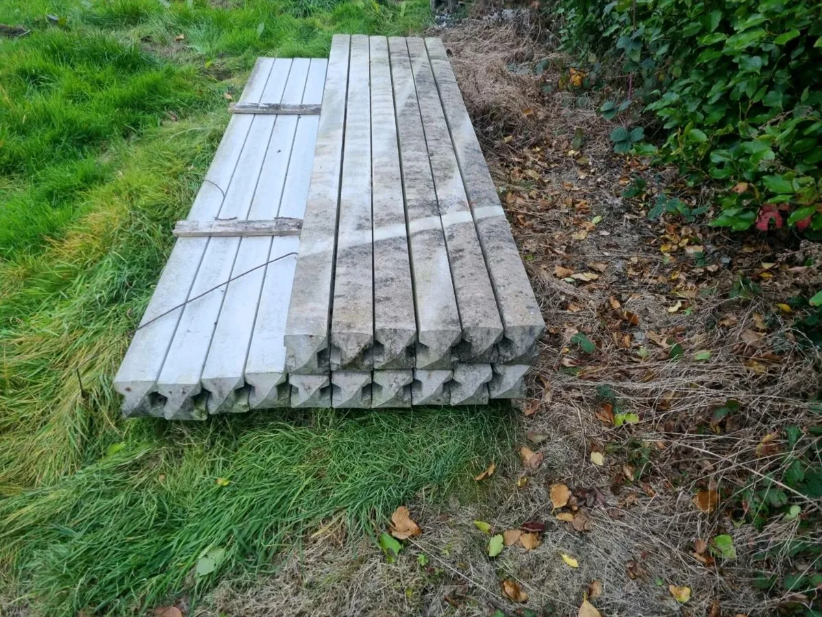 Concrete  posts and  timber  panels - Image 1