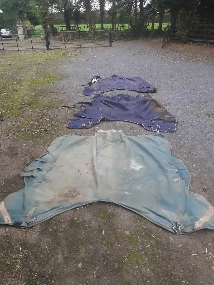 Horse rugs - Image 1