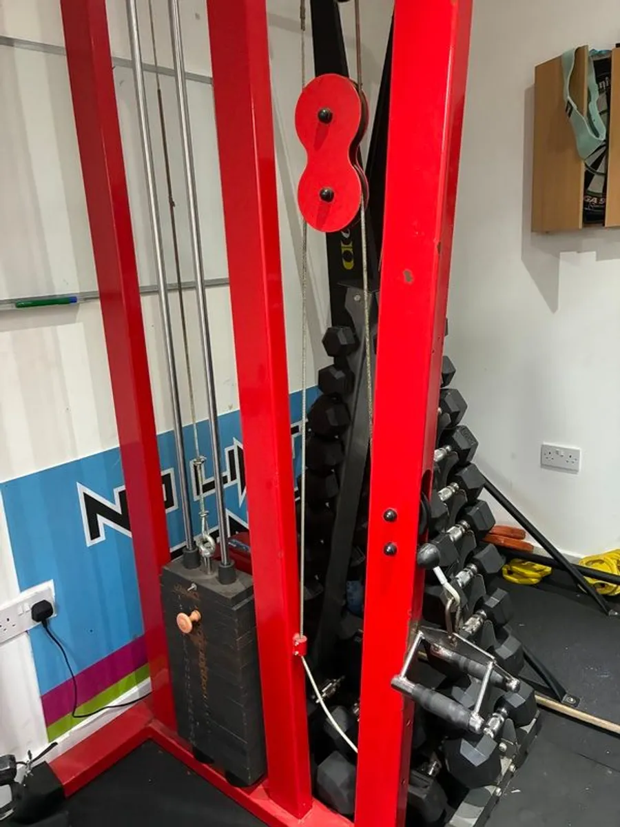 Lat pull down and low row without seat - Image 1