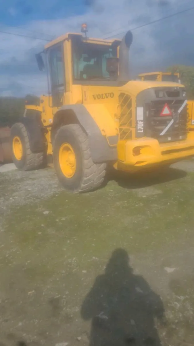 Loaders for feeding - Image 3