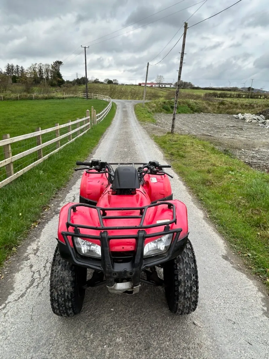Quad 250cc - Image 2
