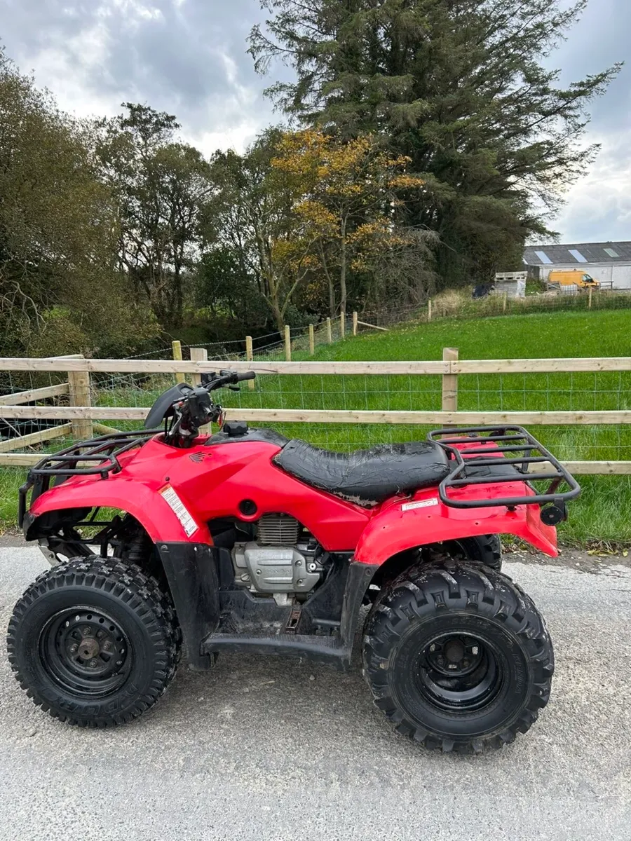 Quad 250cc - Image 4