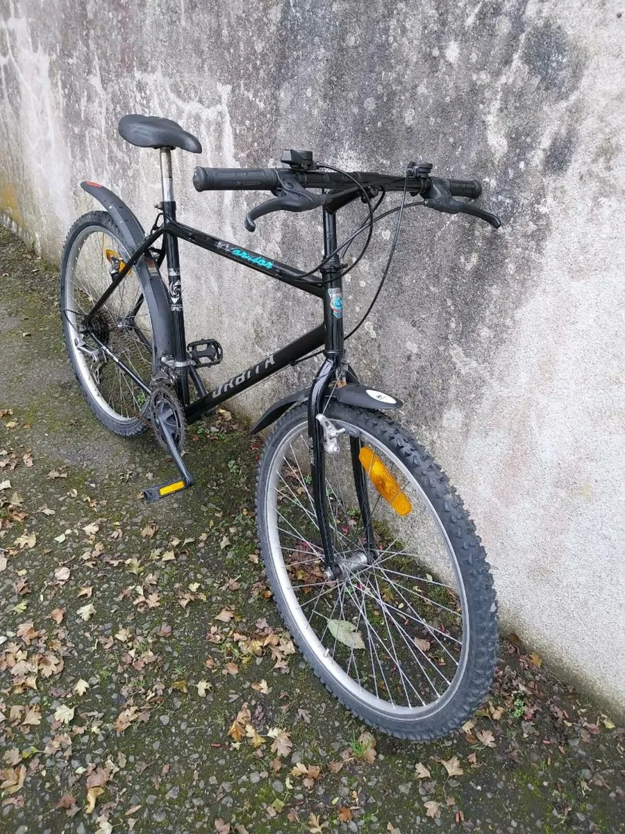 Mens mountain bike - Image 2