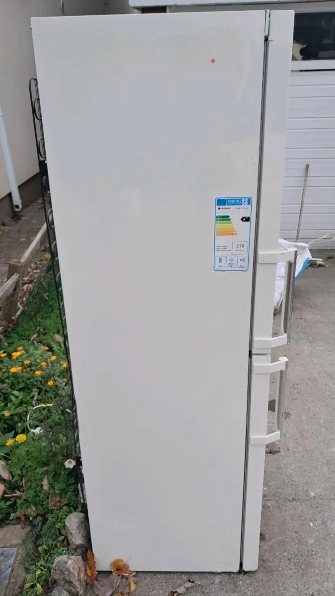 Fridge Freezer - Image 2
