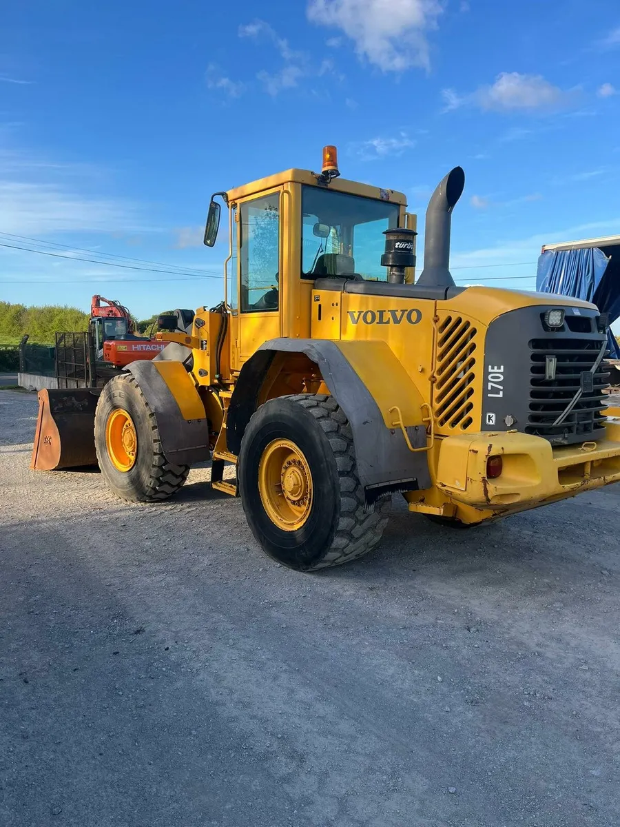 Loaders for feeding - Image 4