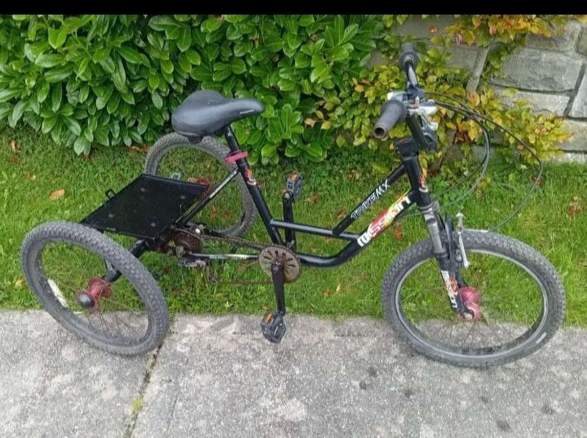 Tricycle - Image 1