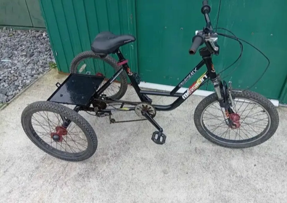 Tricycle - Image 2