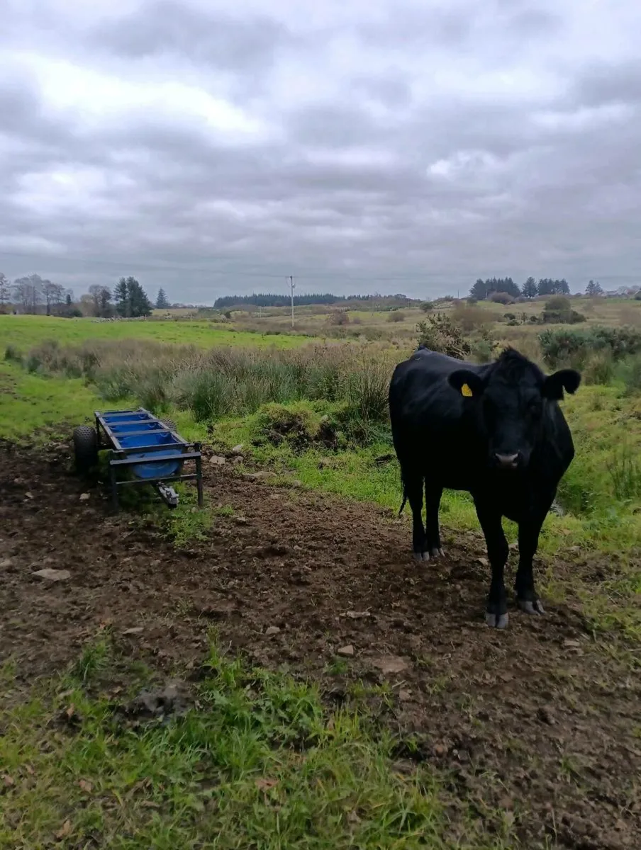 Feed trailer - Image 1