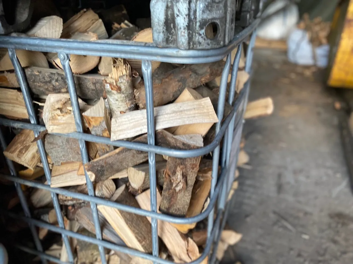Trailer load of Dry Ash Hardwood - Image 3