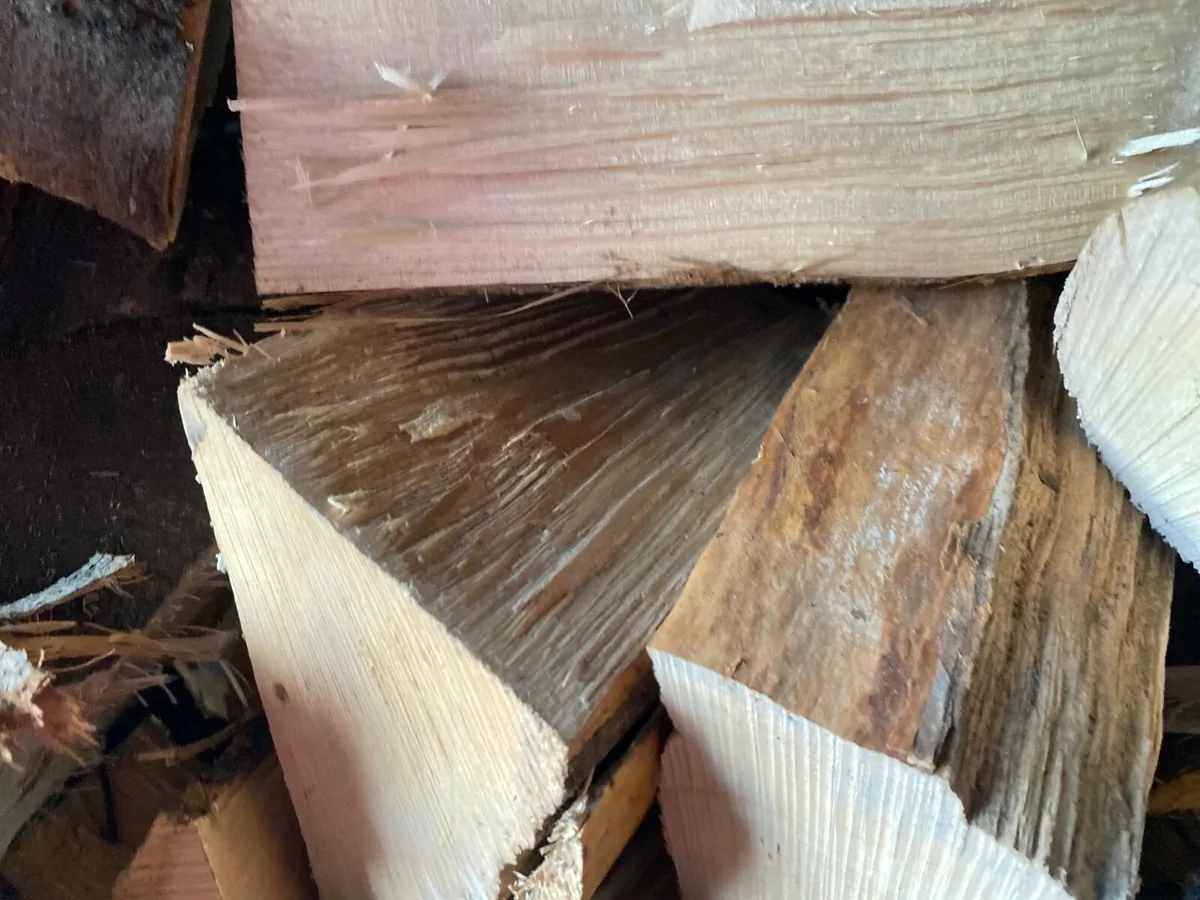 Trailer load of Dry Ash Hardwood - Image 4