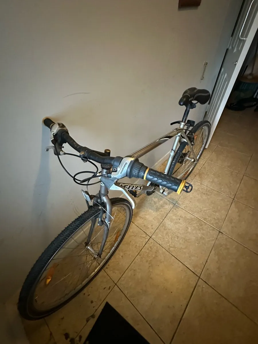 Bike - Image 1