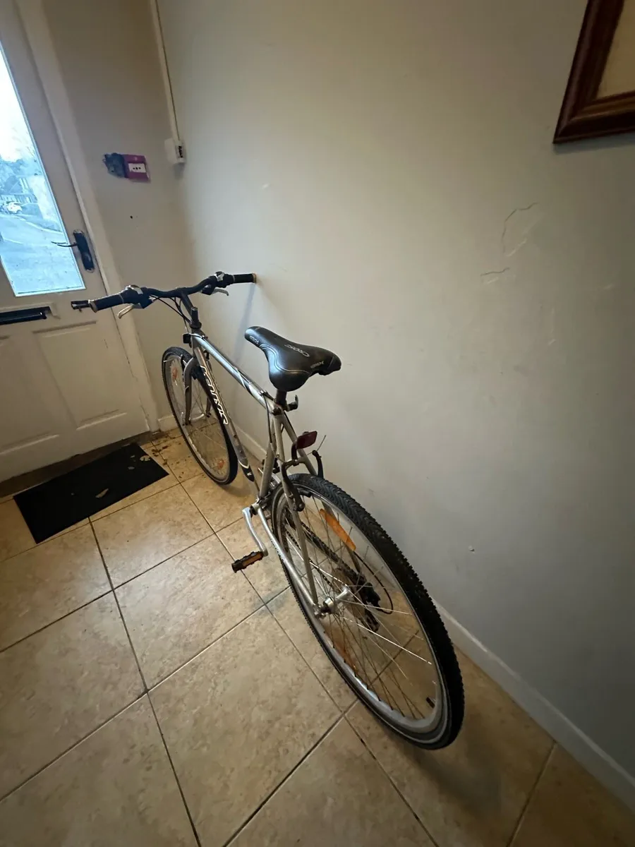 Bike - Image 2