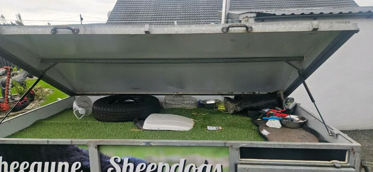 4 Berth Dog Trailer - Image 2