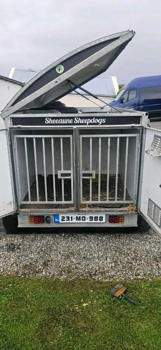 4 Berth Dog Trailer - Image 3