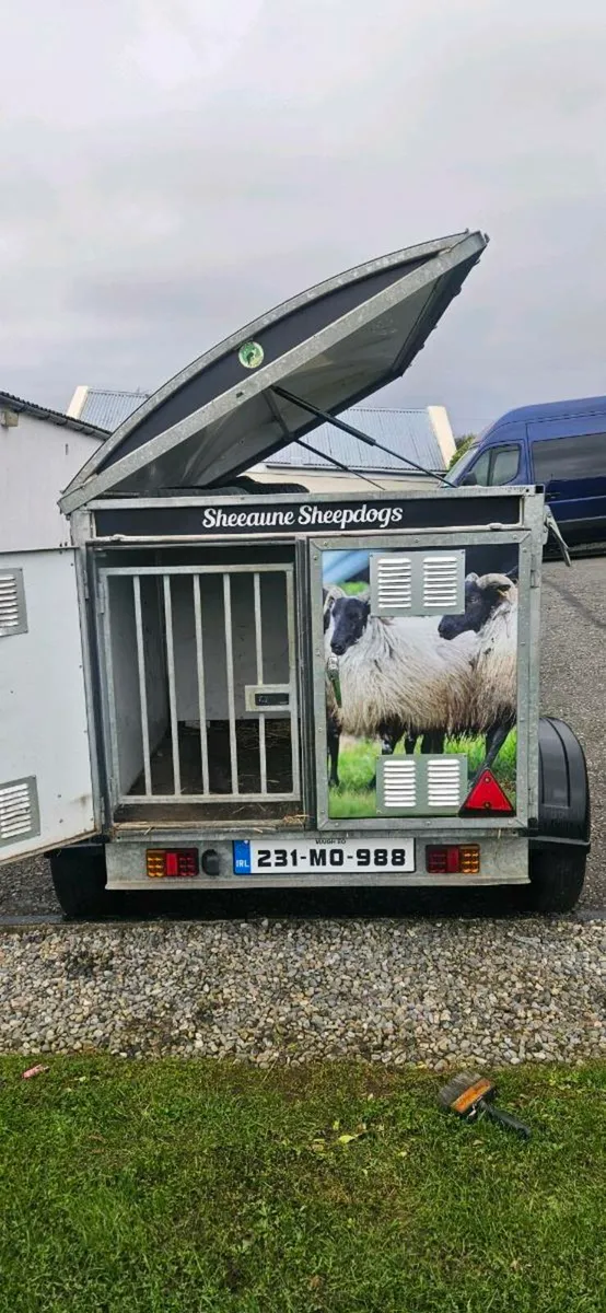 4 Berth Dog Trailer - Image 4