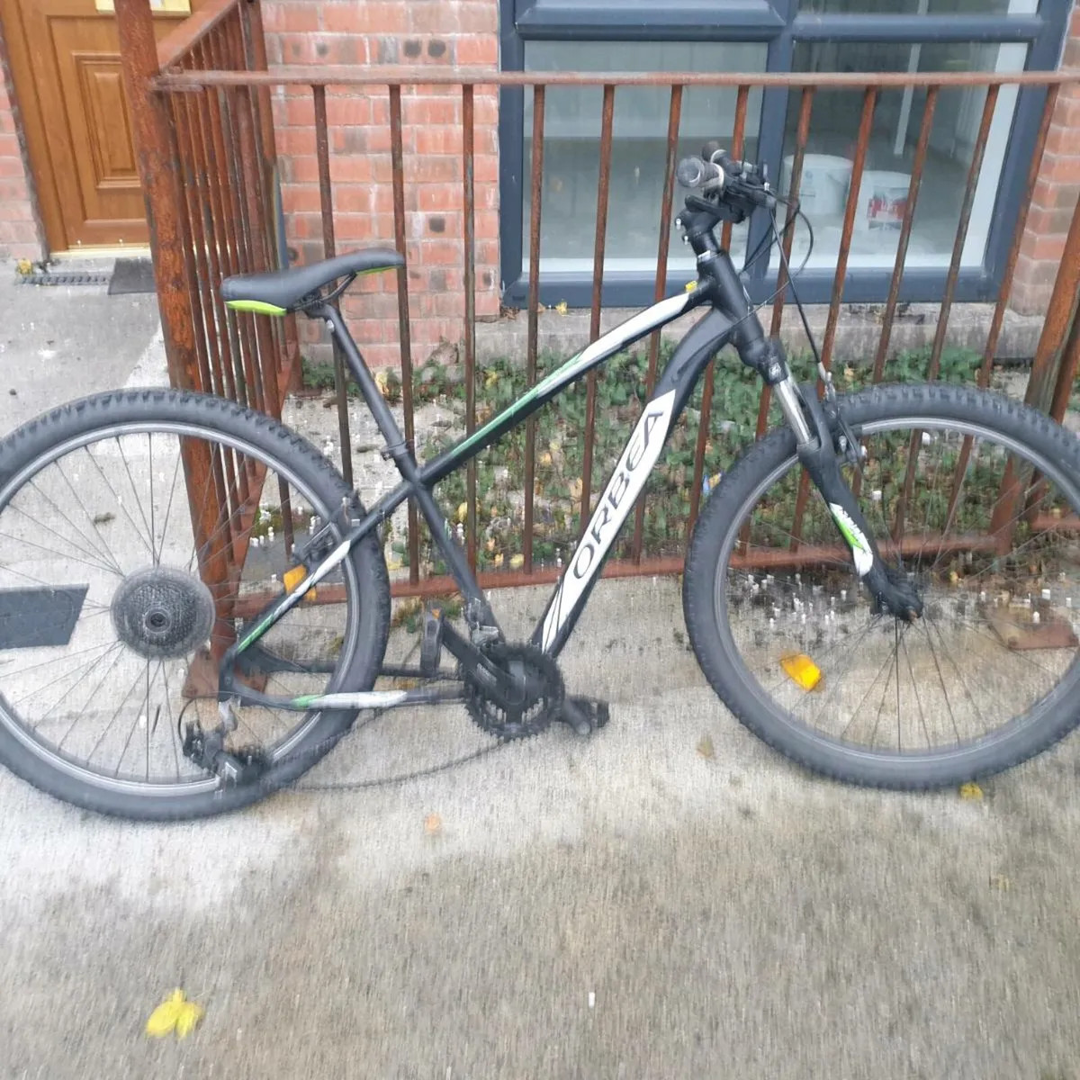 ADULTS BIKE - Image 1