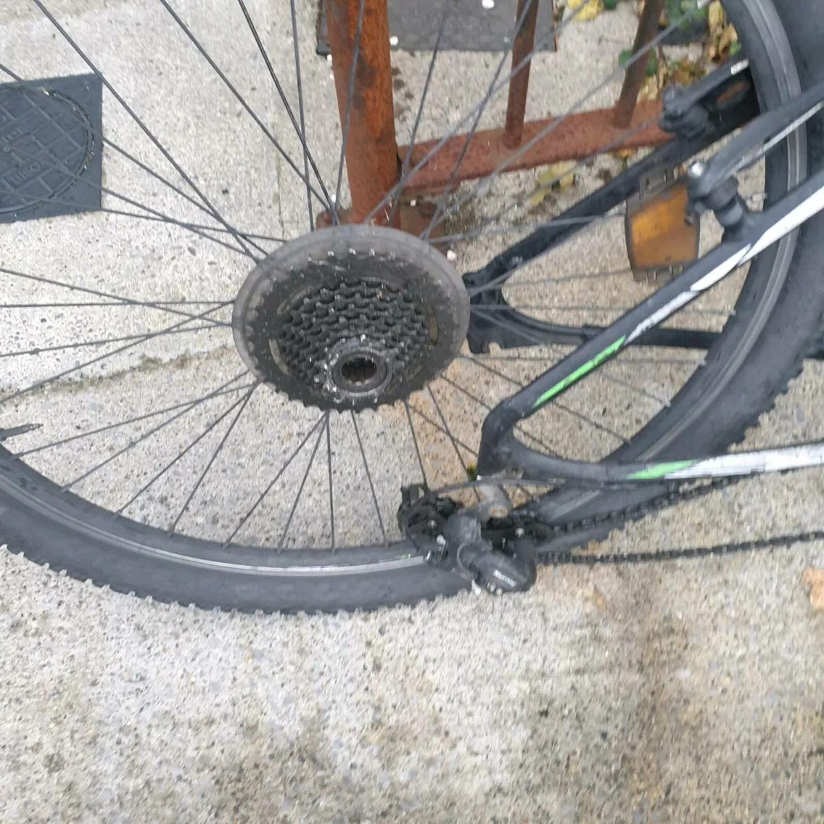 ADULTS BIKE - Image 2