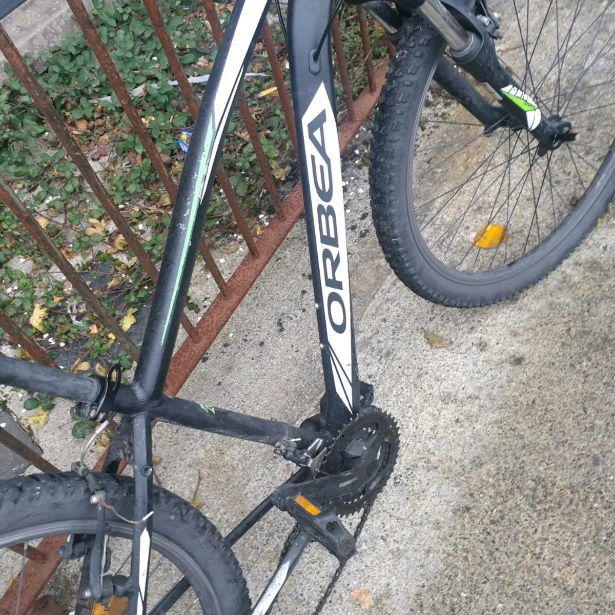 ADULTS BIKE - Image 3