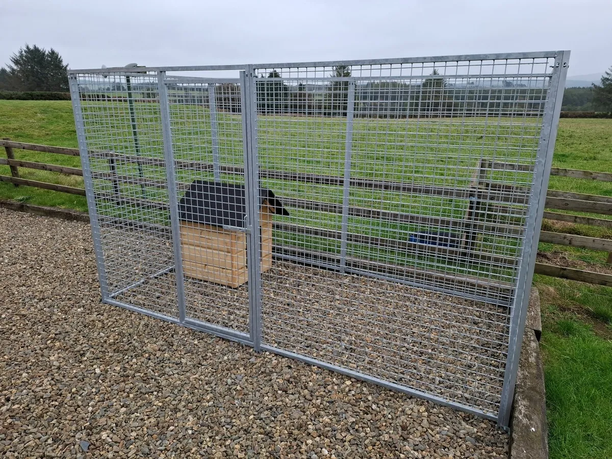 Dog run - Image 2
