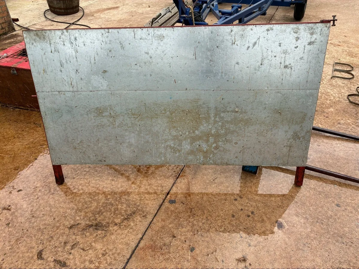 Sheep equipment - Image 1