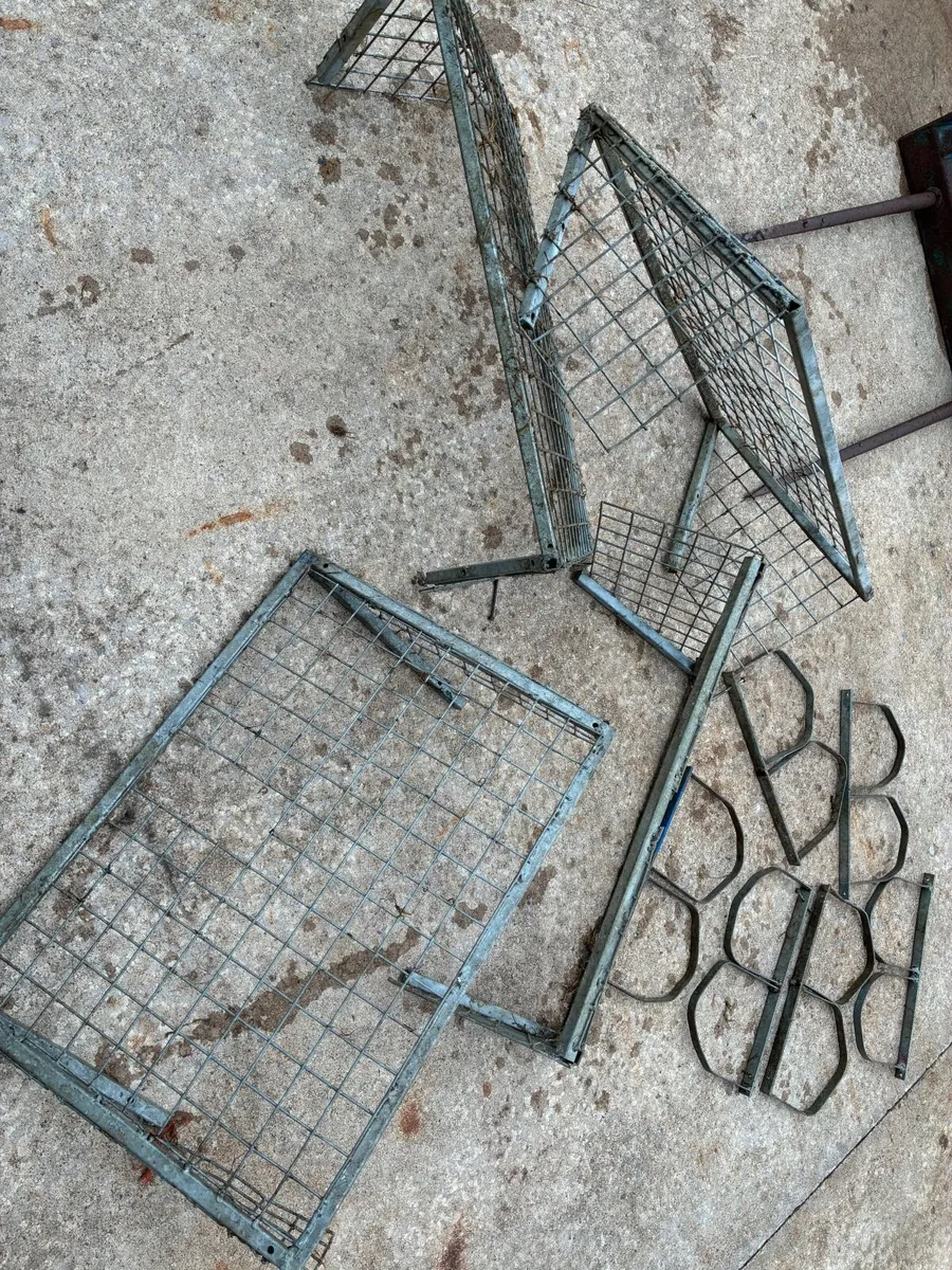 Sheep equipment - Image 4