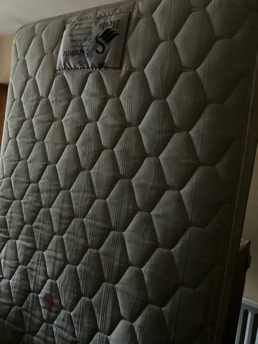 Single Bed with new mattress - Image 1