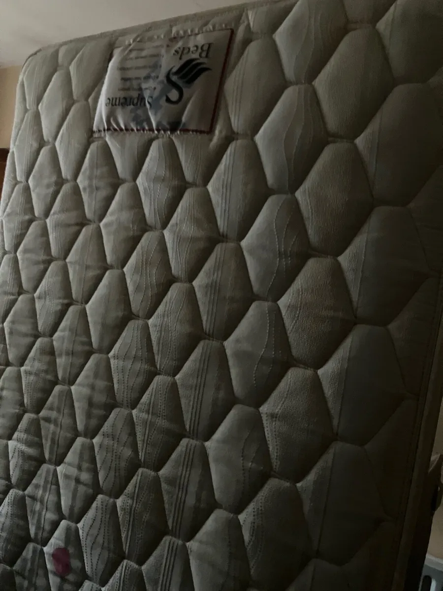 Single Bed with new mattress - Image 2
