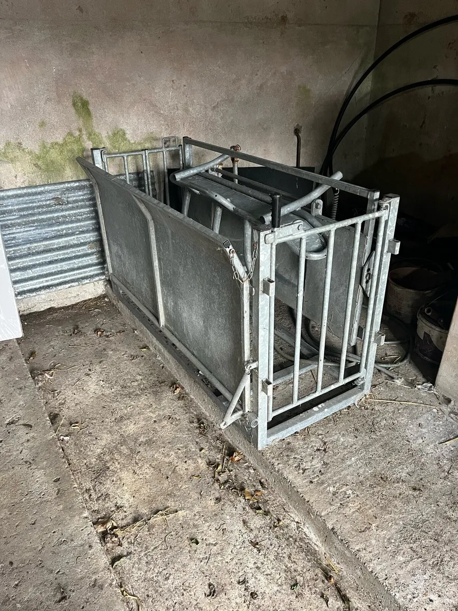 Sheep Crate - Image 1